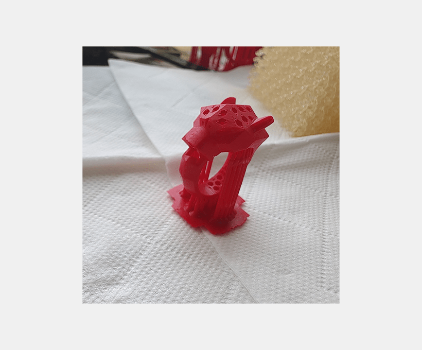 Red wax casting resin-NDS702 3D print model